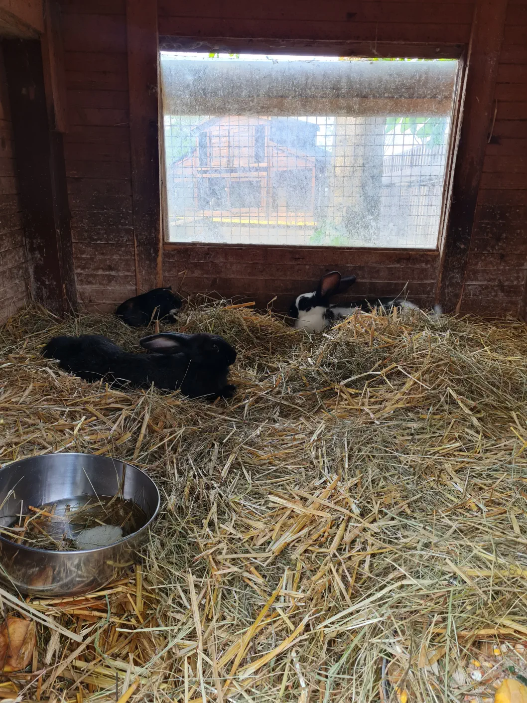 Gasthaus zur Minidampfbahn