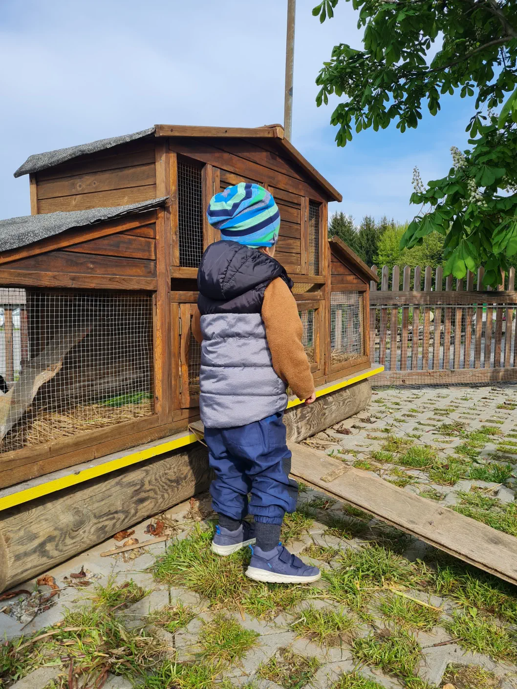 Wir besuchen die Hasen