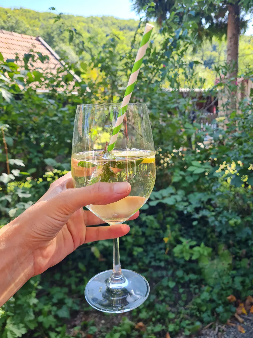 Niederösterreich Gasthaus Spielplatz