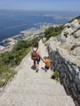 Gibraltar mit Kleinkind