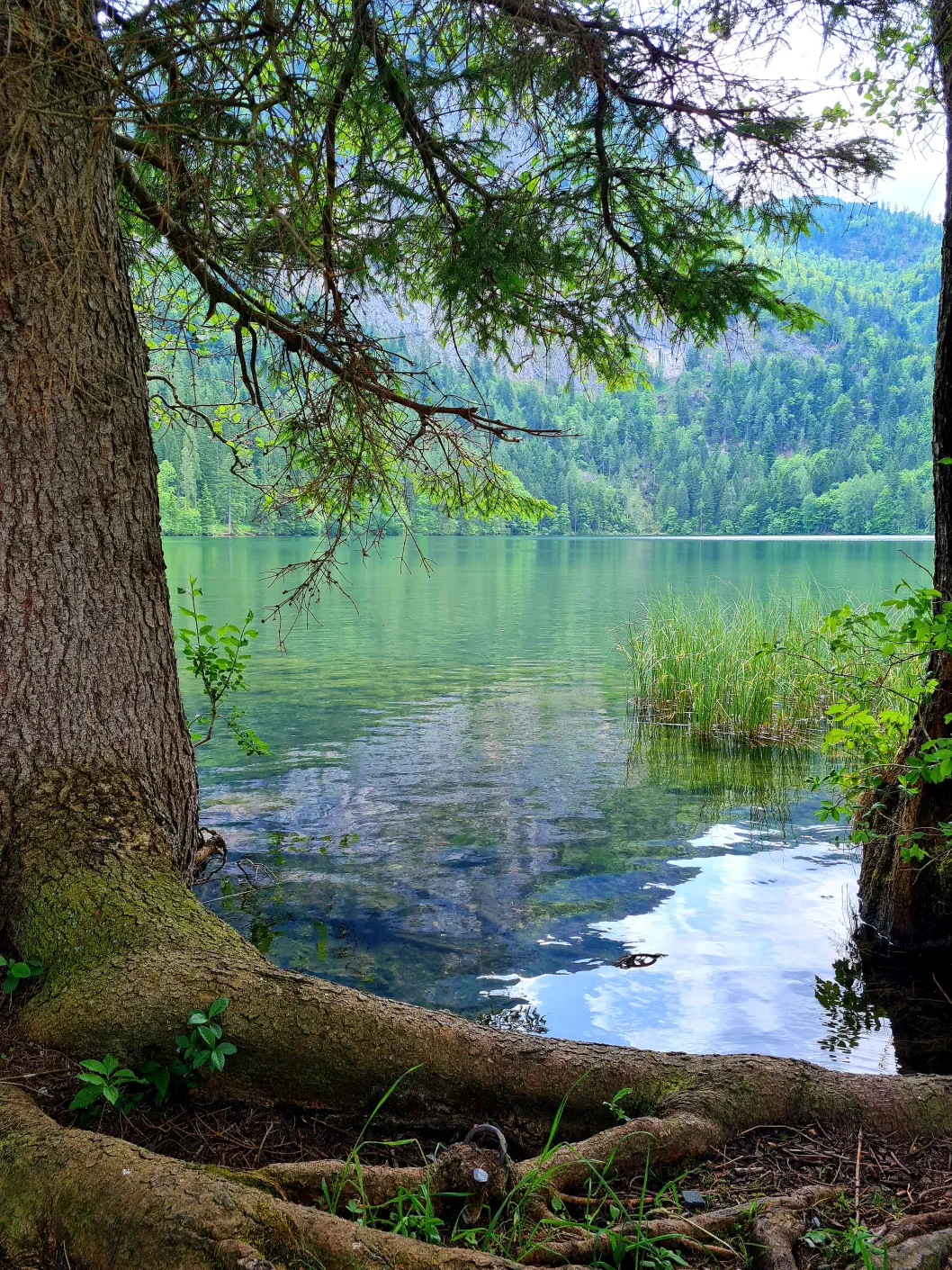 Hierhin solltest du unbedingt einen Ausflug machen!