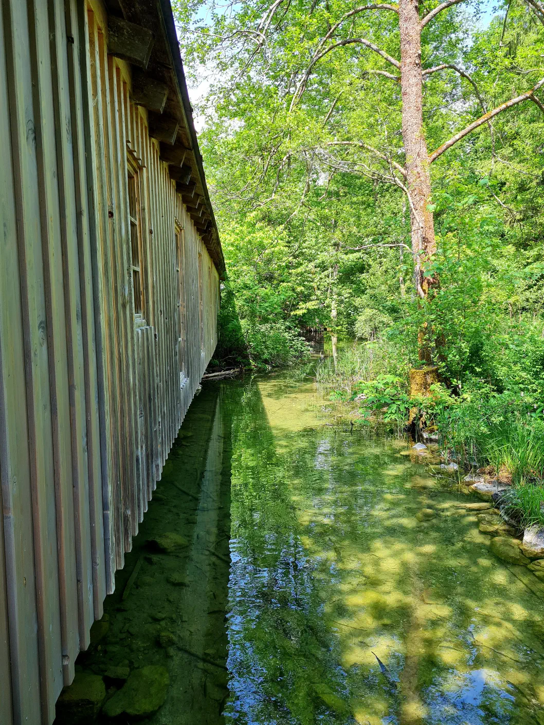Gleinkersee Kinderwagen