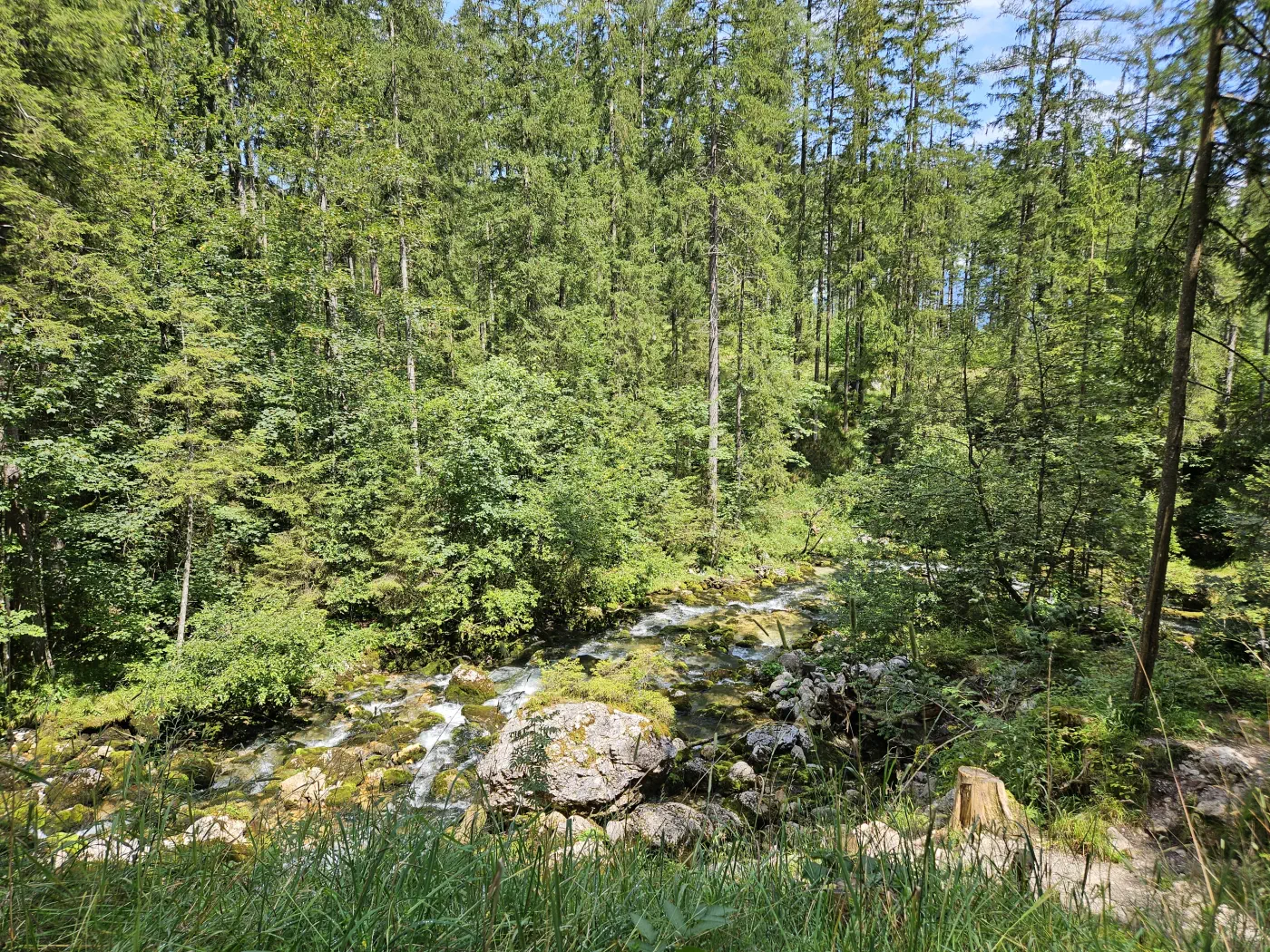 Gollinger Wasserfall Kind