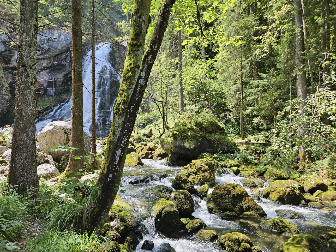 Gollinger Wasserfall Kind