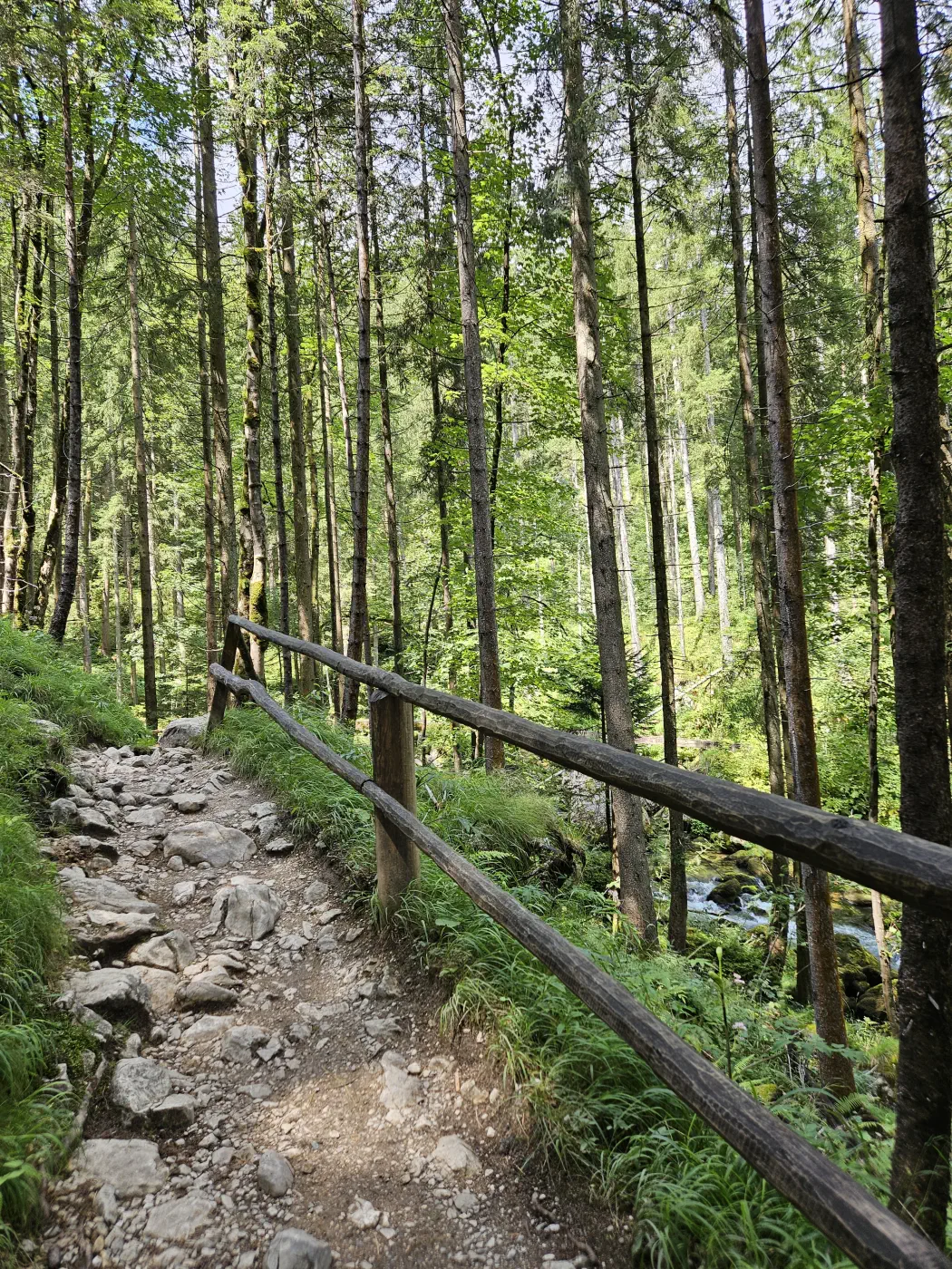 Gollinger Wasserfall Kind