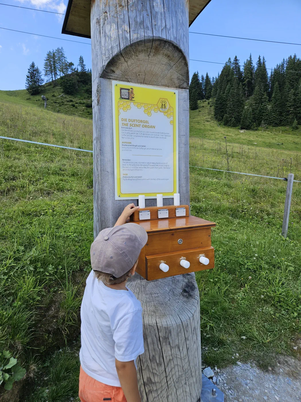 Grafenberg Kinderwagen