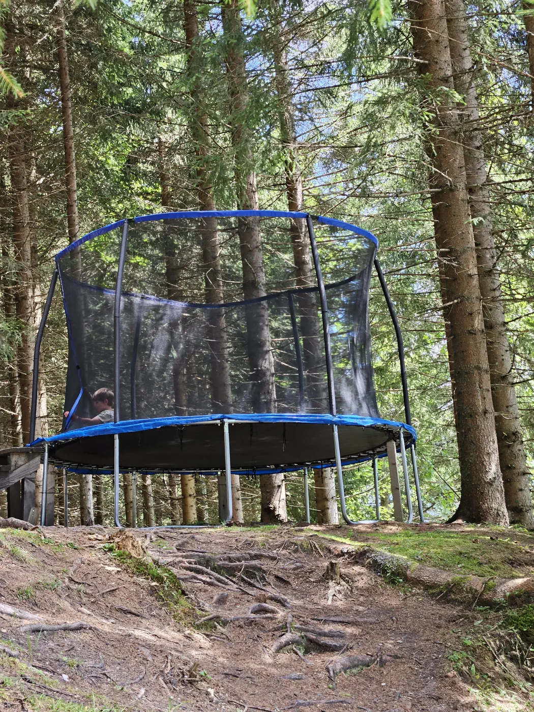 Trampolin im Wald bei der Mooslehenalm