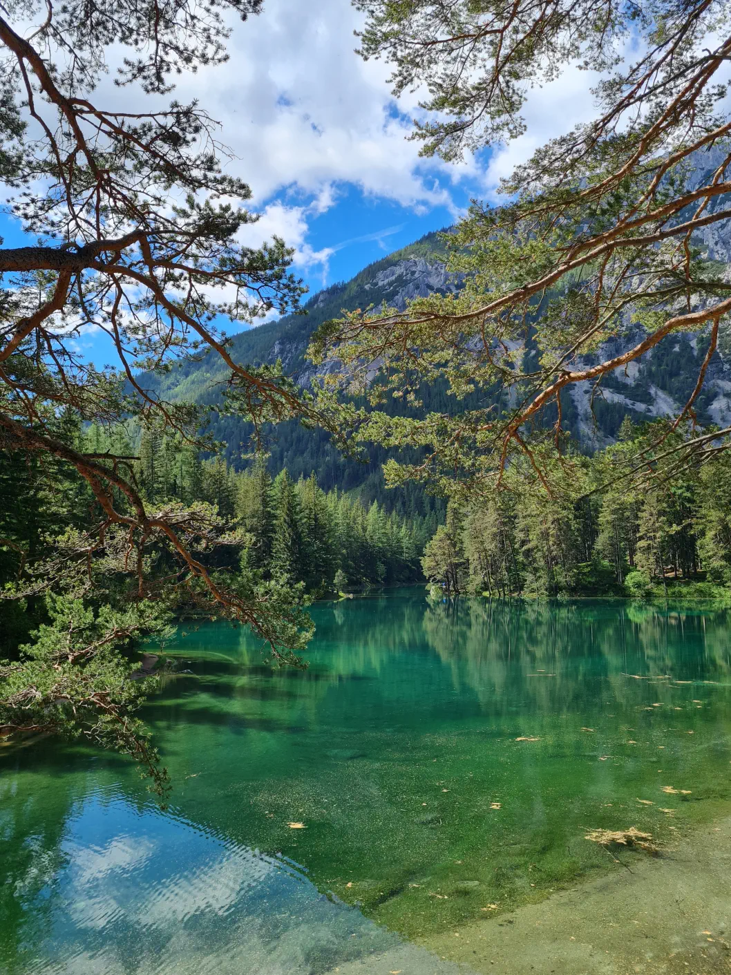 Grüner See Kinderwagen