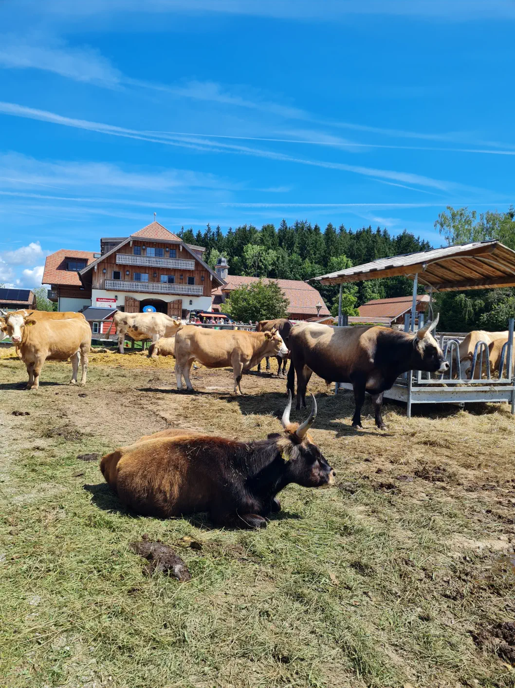 Gut Aiderbichl Salzburg