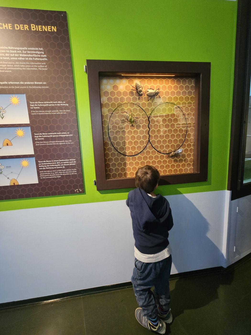 Haus der Natur Kleinkind