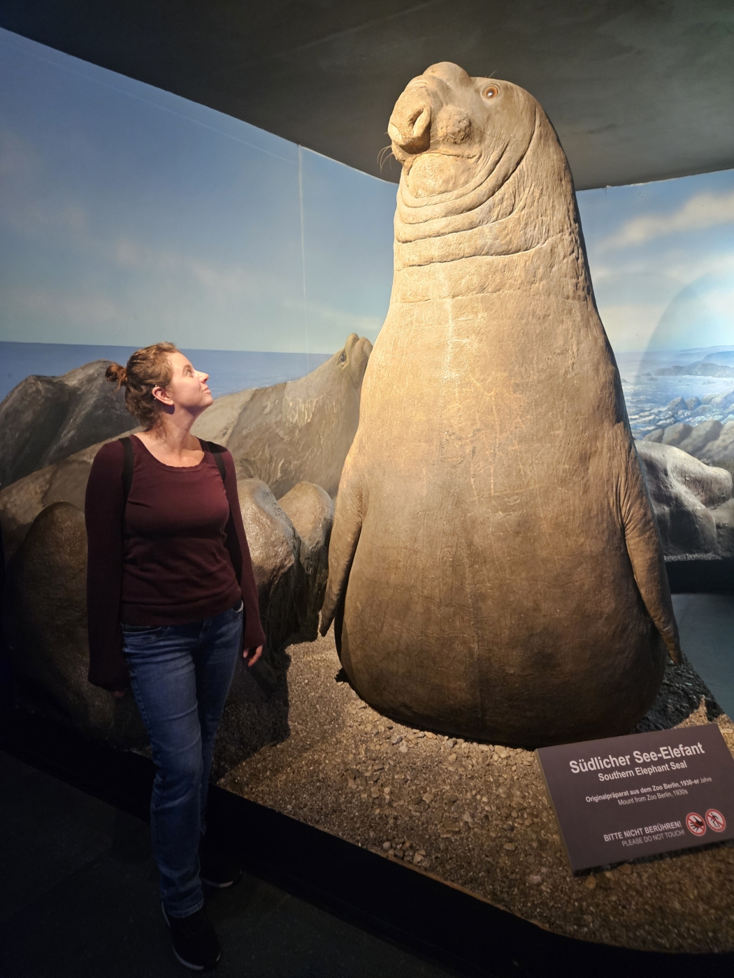 Haus der Natur Kleinkind