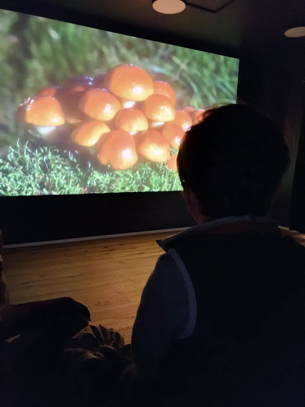 Interaktives Museum Niederösterreich