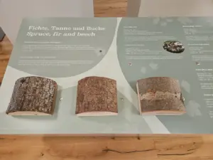 Haus der Wildnis