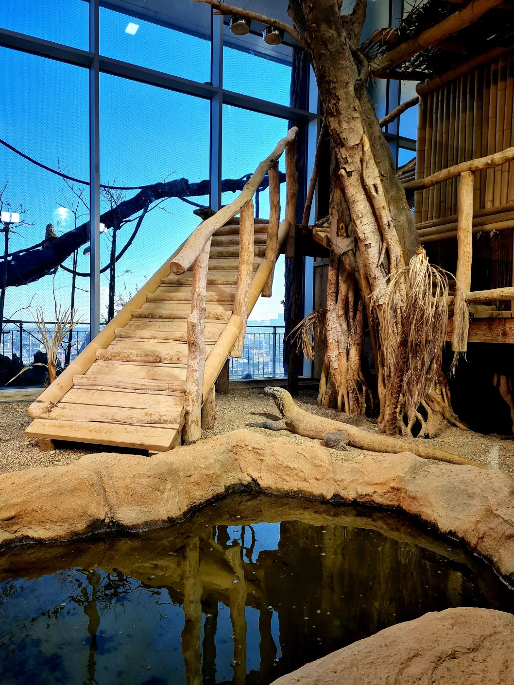 Ein schöner Anblick, wenn es auch gefährliche Tiere sind