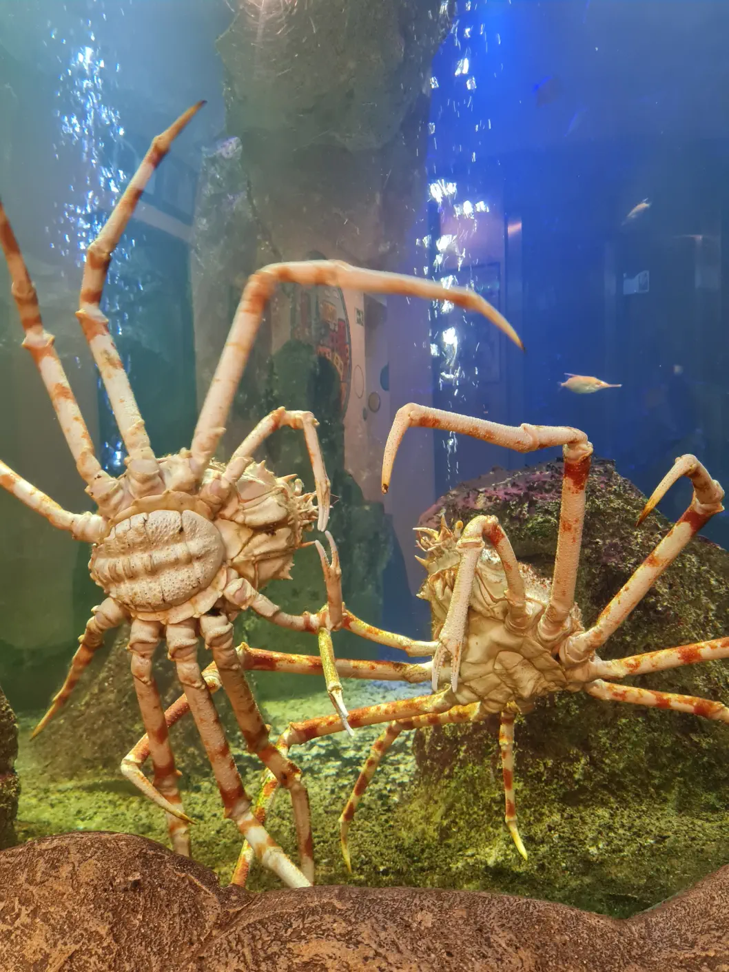 Fight oder doch Liebe?