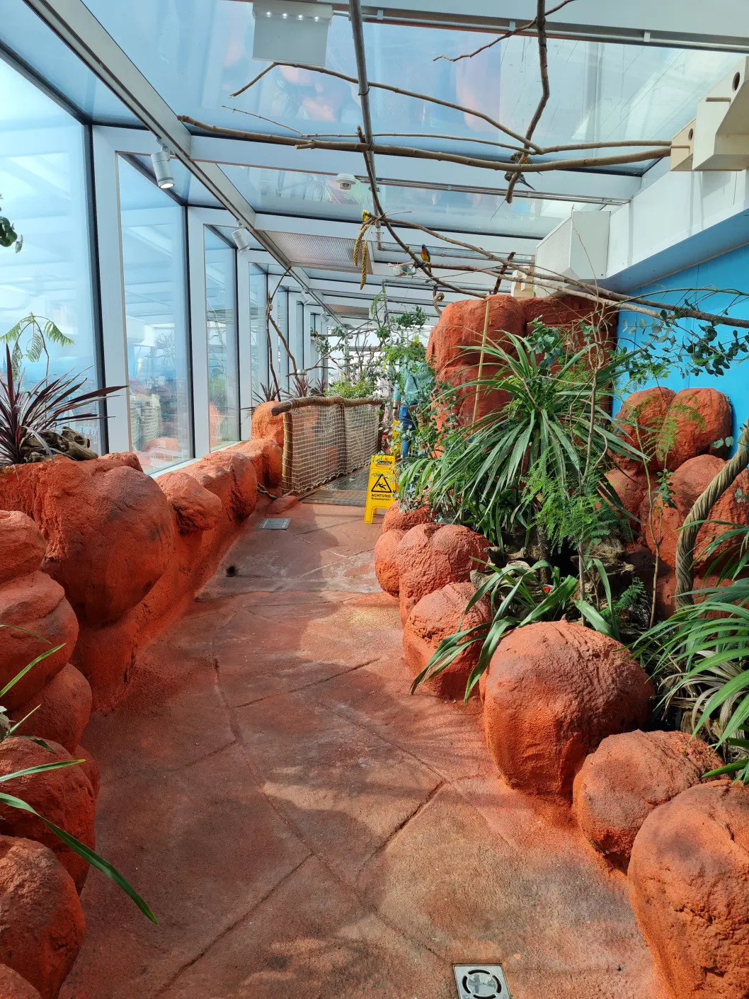 Der Australienbereich beherbergt Kängurus!