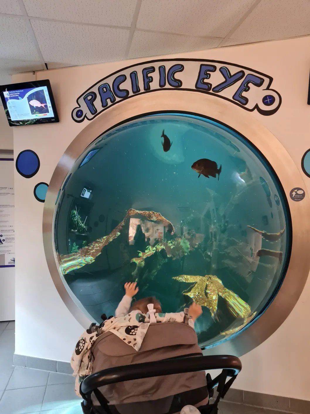 Wien Schlechtwetter Kind