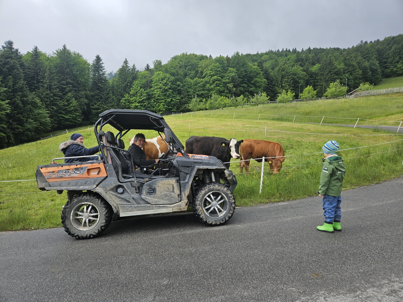 Urlaub am Bauernhof Irrsee