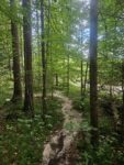 Innerbachklamm
