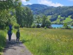 Urlaub am Bauernhof Irrsee