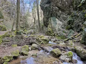 Johannesbachklamm Kind
