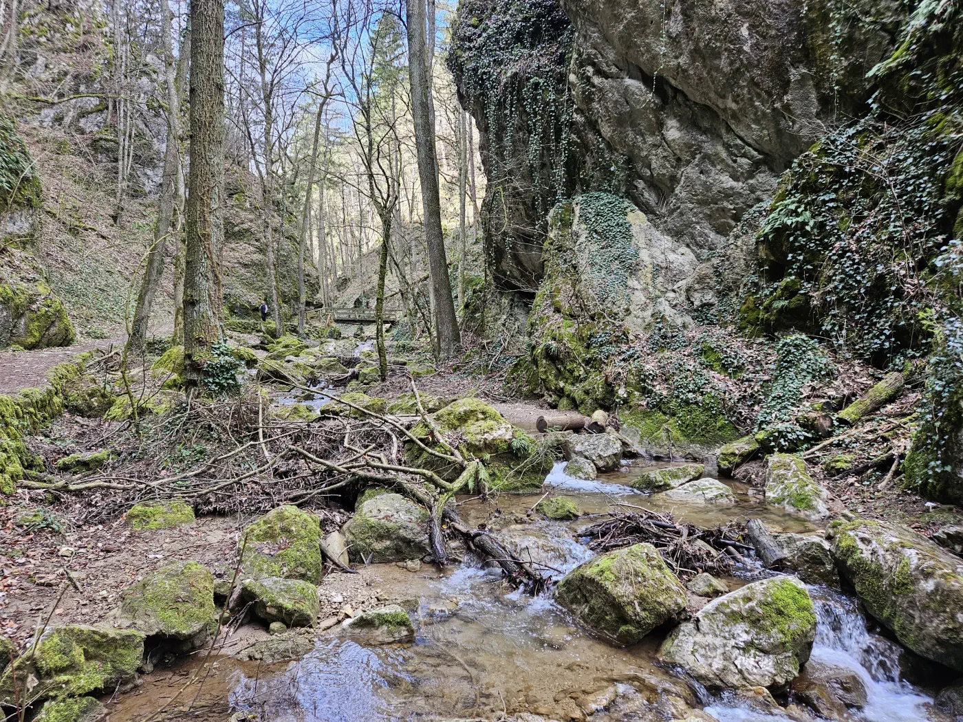 Johannesbachklamm Kind