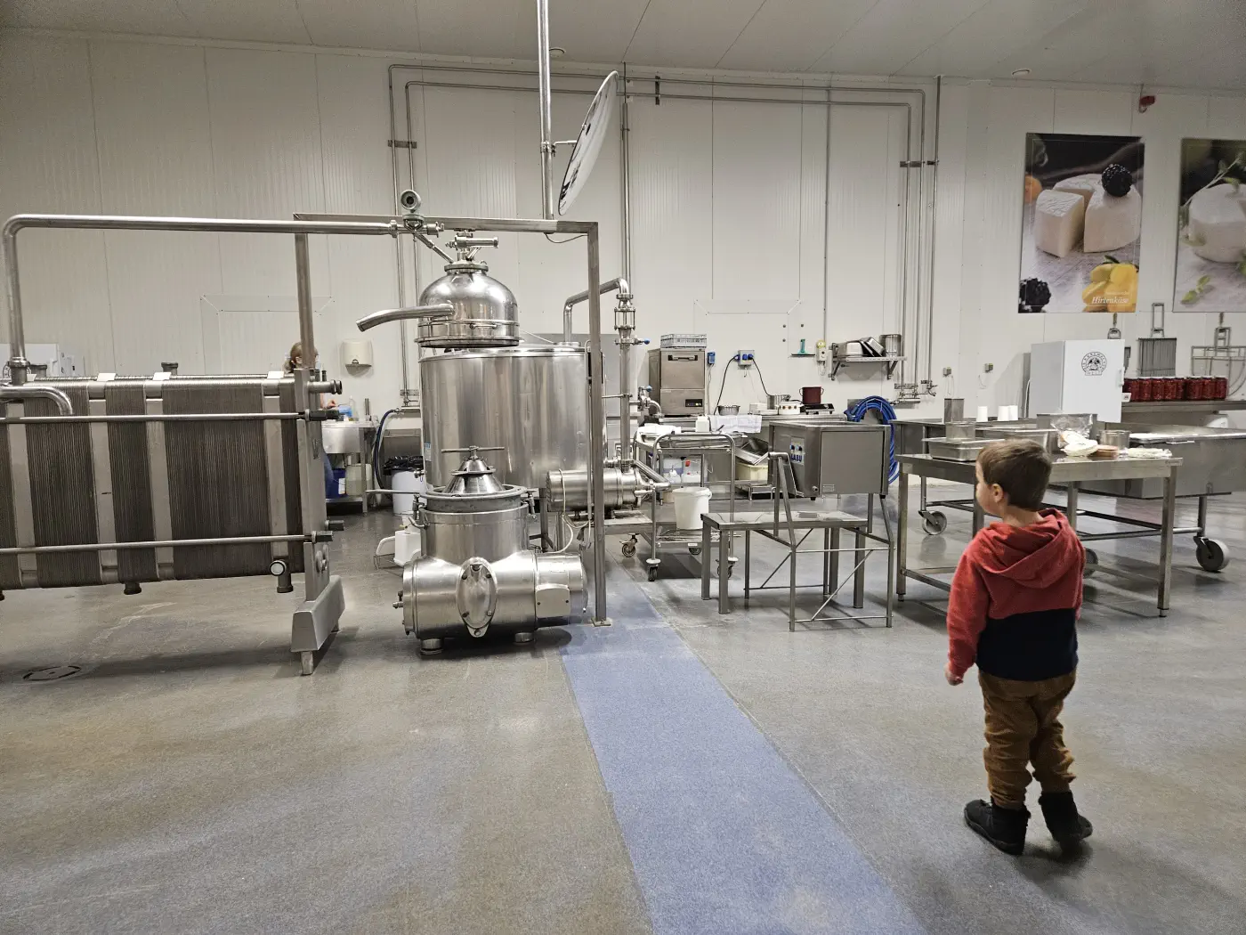 Wir sehen uns die Produktion in der Käsewelt an