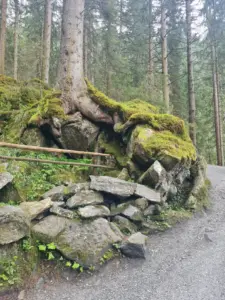 Krimmler Wasserfälle Kinderwagen