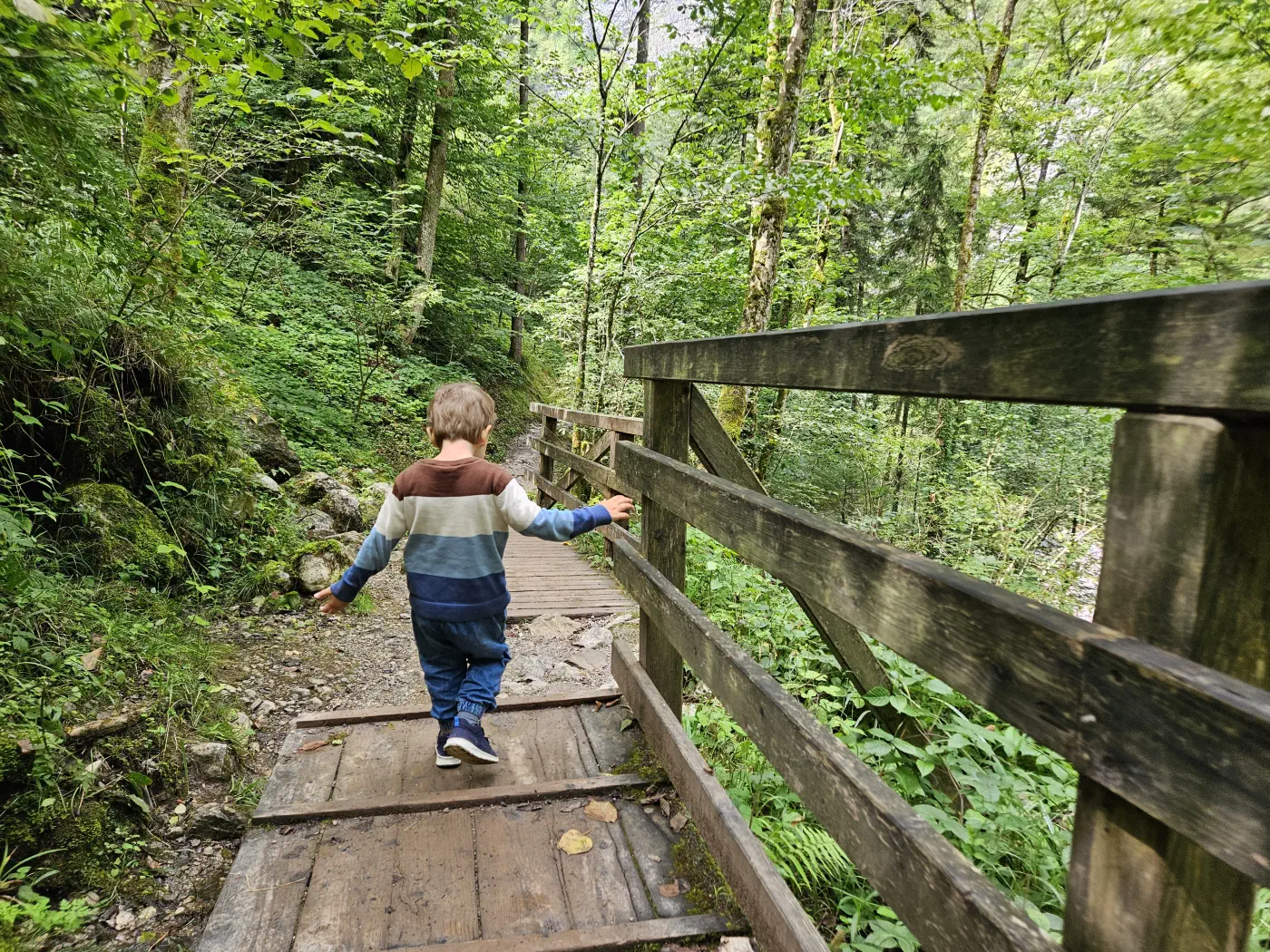 Lammerklamm Kind