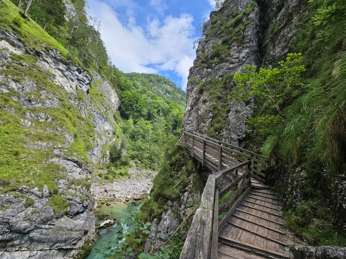 Lammerklamm Kind
