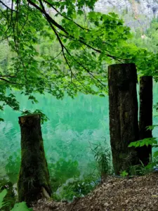 Leopoldsteinersee Kinderwagen