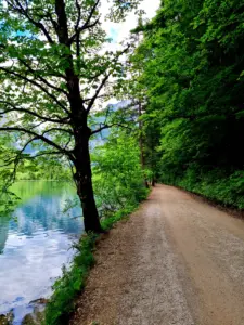 Leopoldsteinersee Kinderwagen