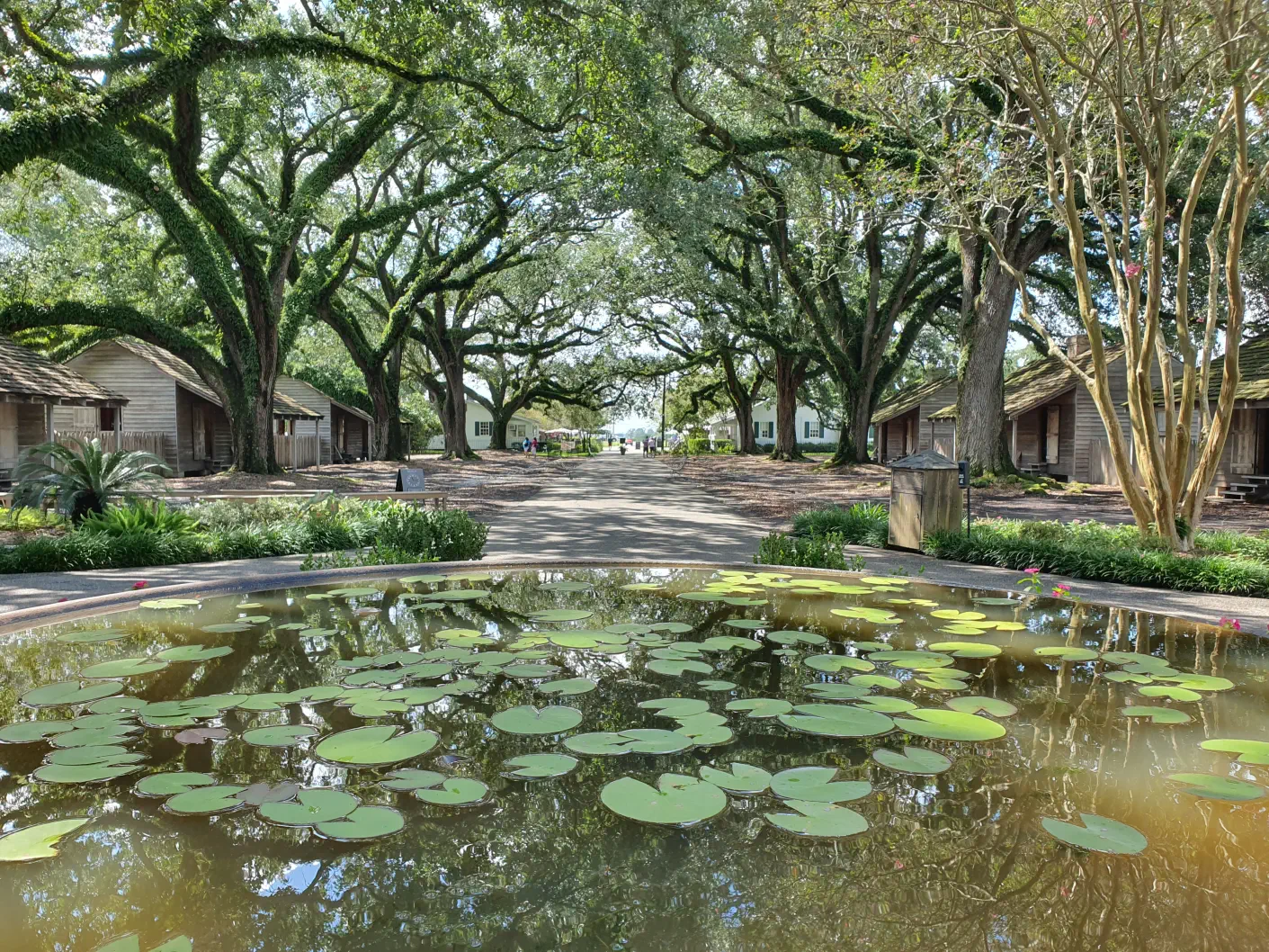 New Orleans Sehenswürdigkeiten