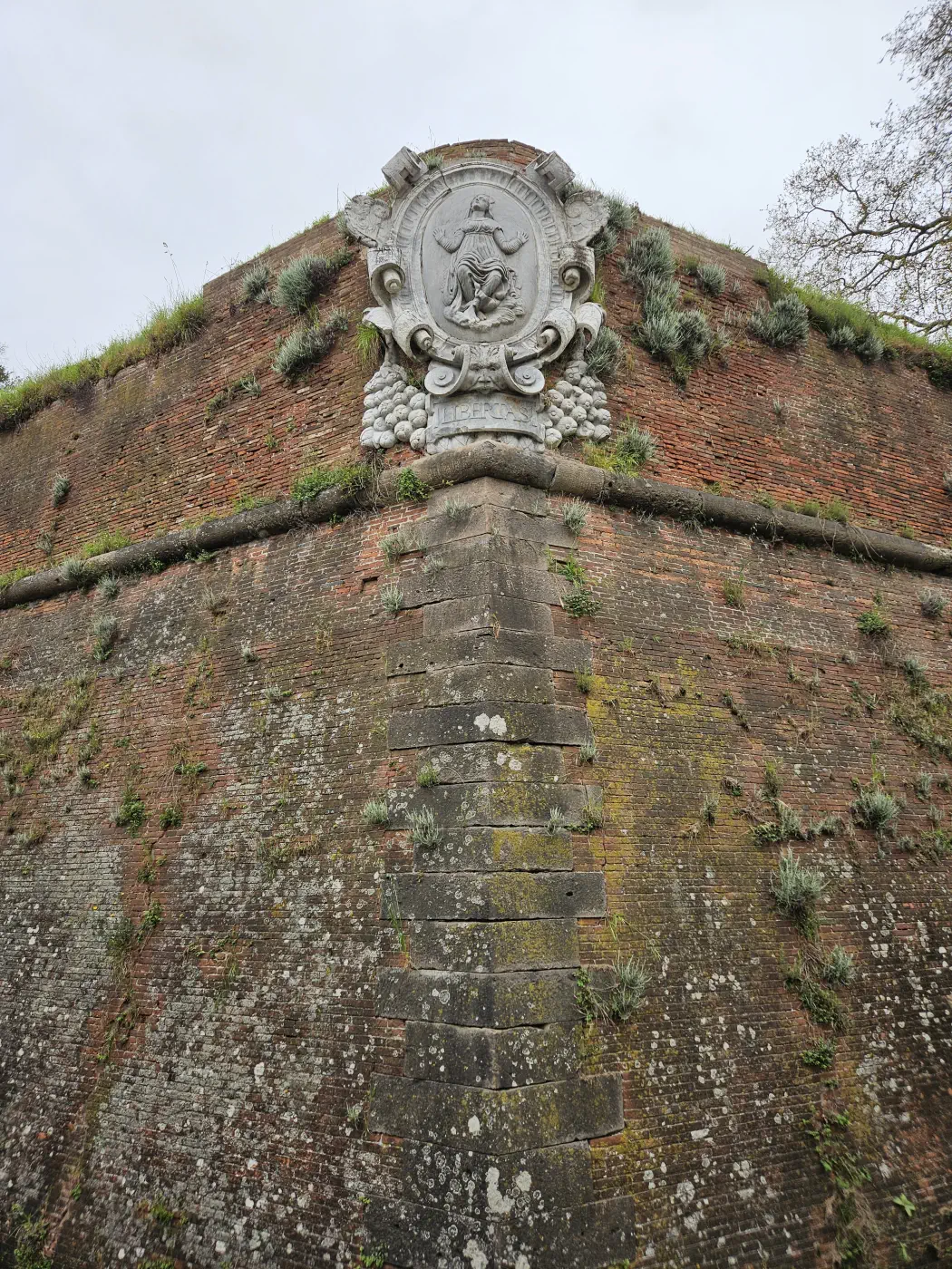 Lucca Toskana