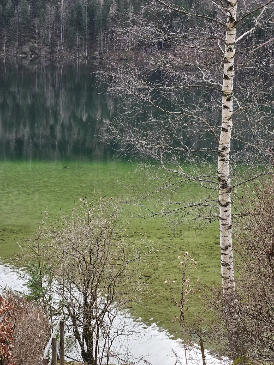 Lunzer See mit Kinderwagen