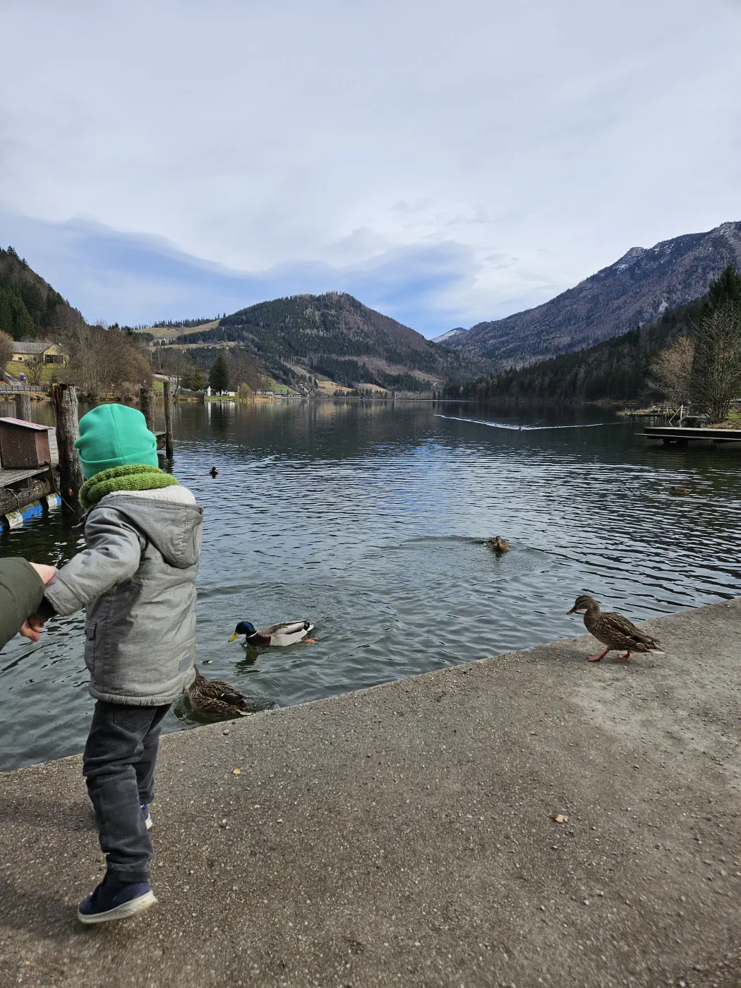 Lunzer See mit Kinderwagen