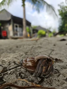 Familienurlaub Malediven