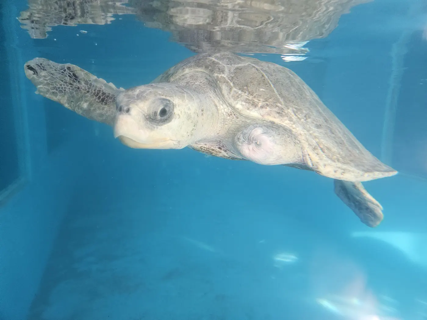 Familienurlaub Malediven