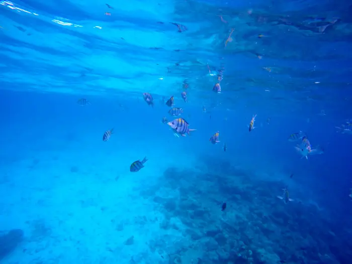 Familienurlaub Malediven