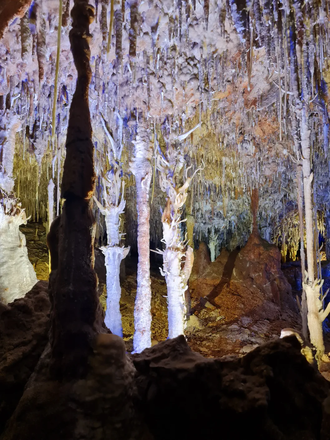 Hier kannst du die Angelhaken förmigen Tropfsteine erkennen