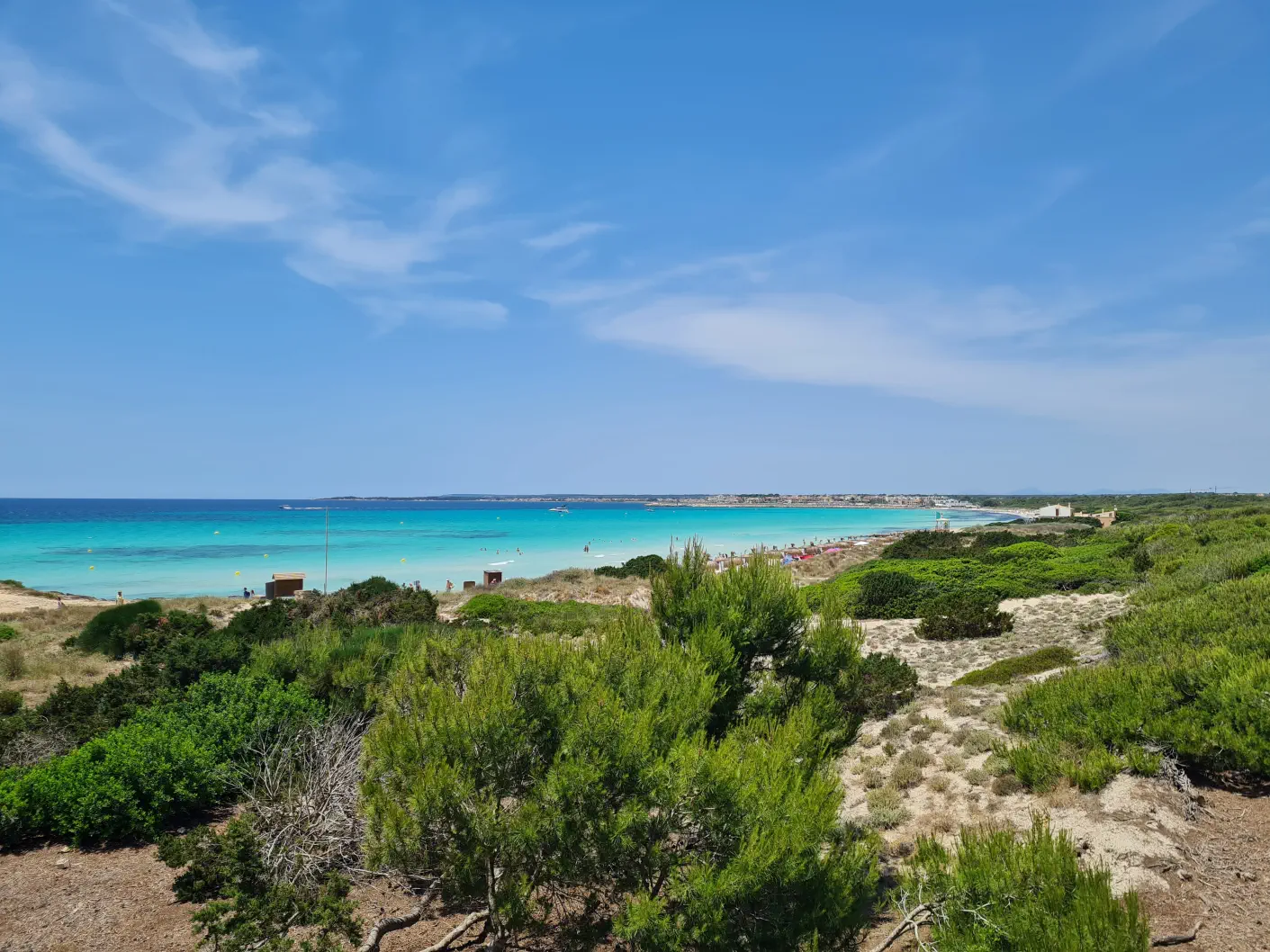 Hinter dem Strand liegt ein kleiner Pinienwald