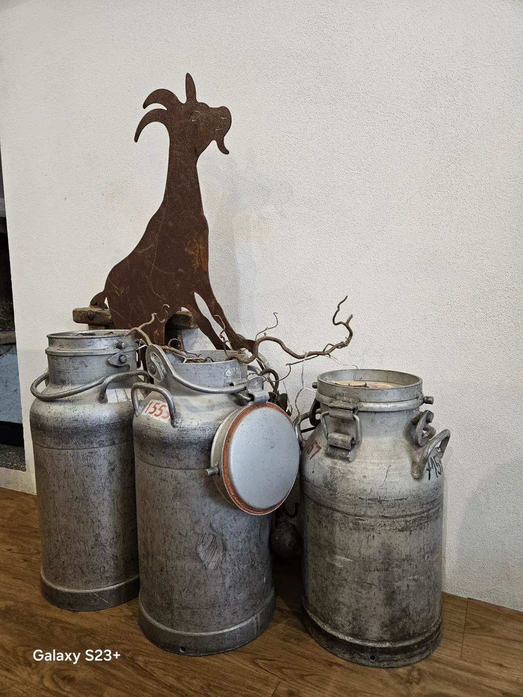 Bei der Führung kannst du einiges über die Ziegenkäseproduktion erfahren - Mandl's Ziegenhof Biobauernhof