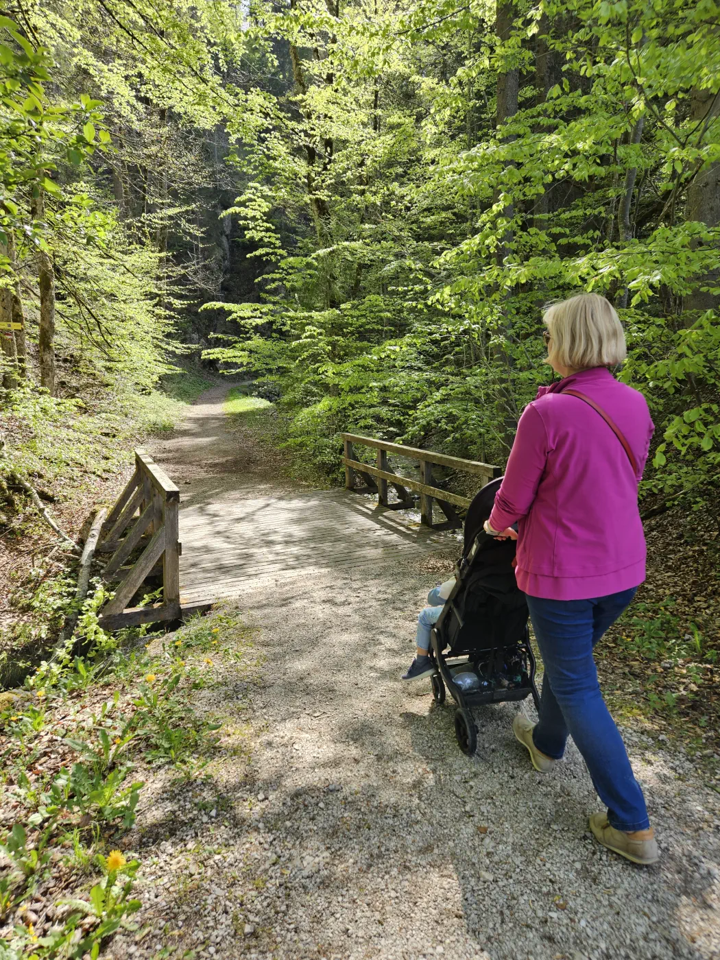 Wasserfall Steiermark Kinderwagen