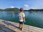 Ferienwohnung am Klopeinersee mit Badesteg