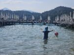 Ferienwohnung Klopeinersee