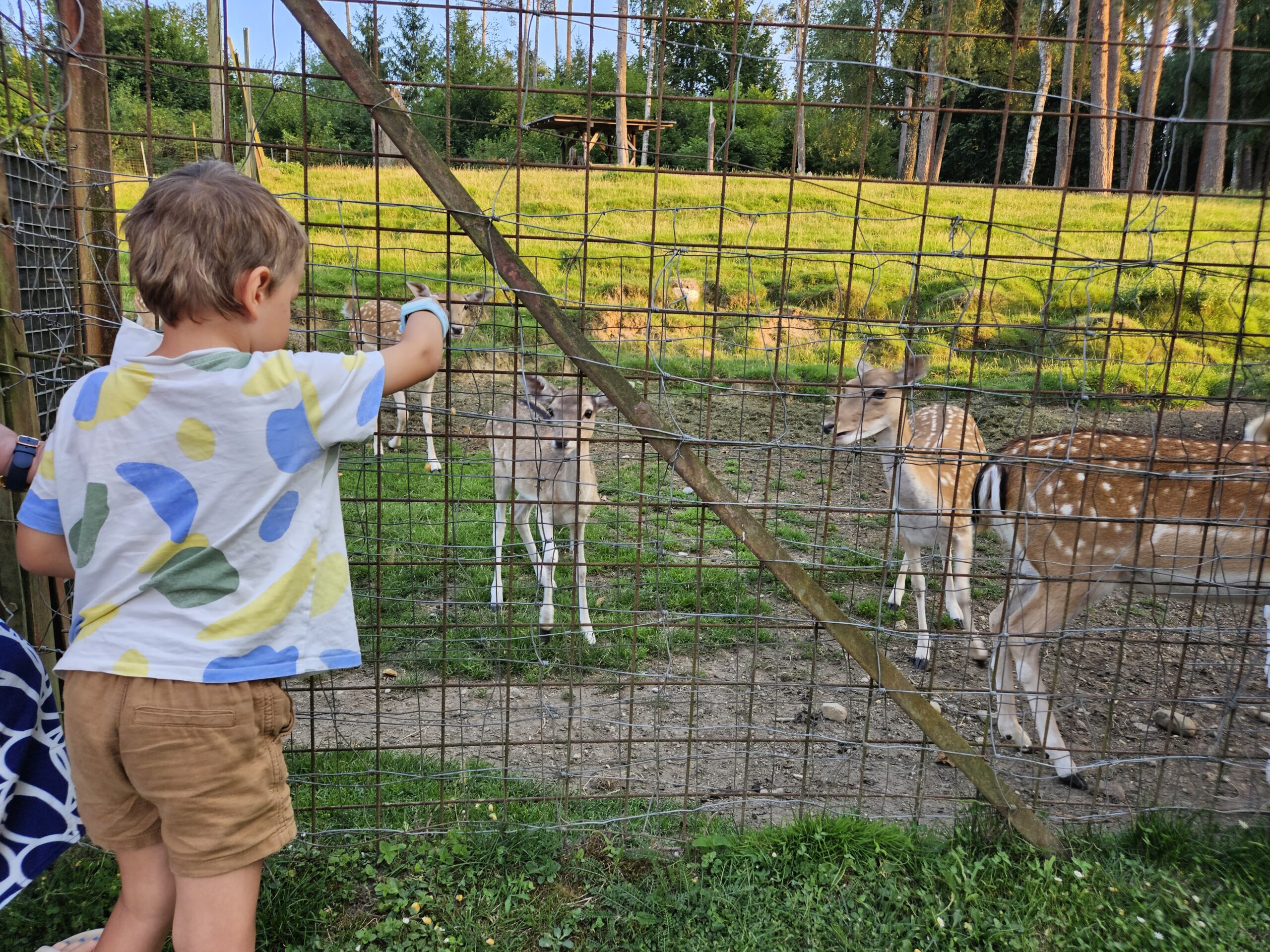 Ferienwohnung Klopeinersee