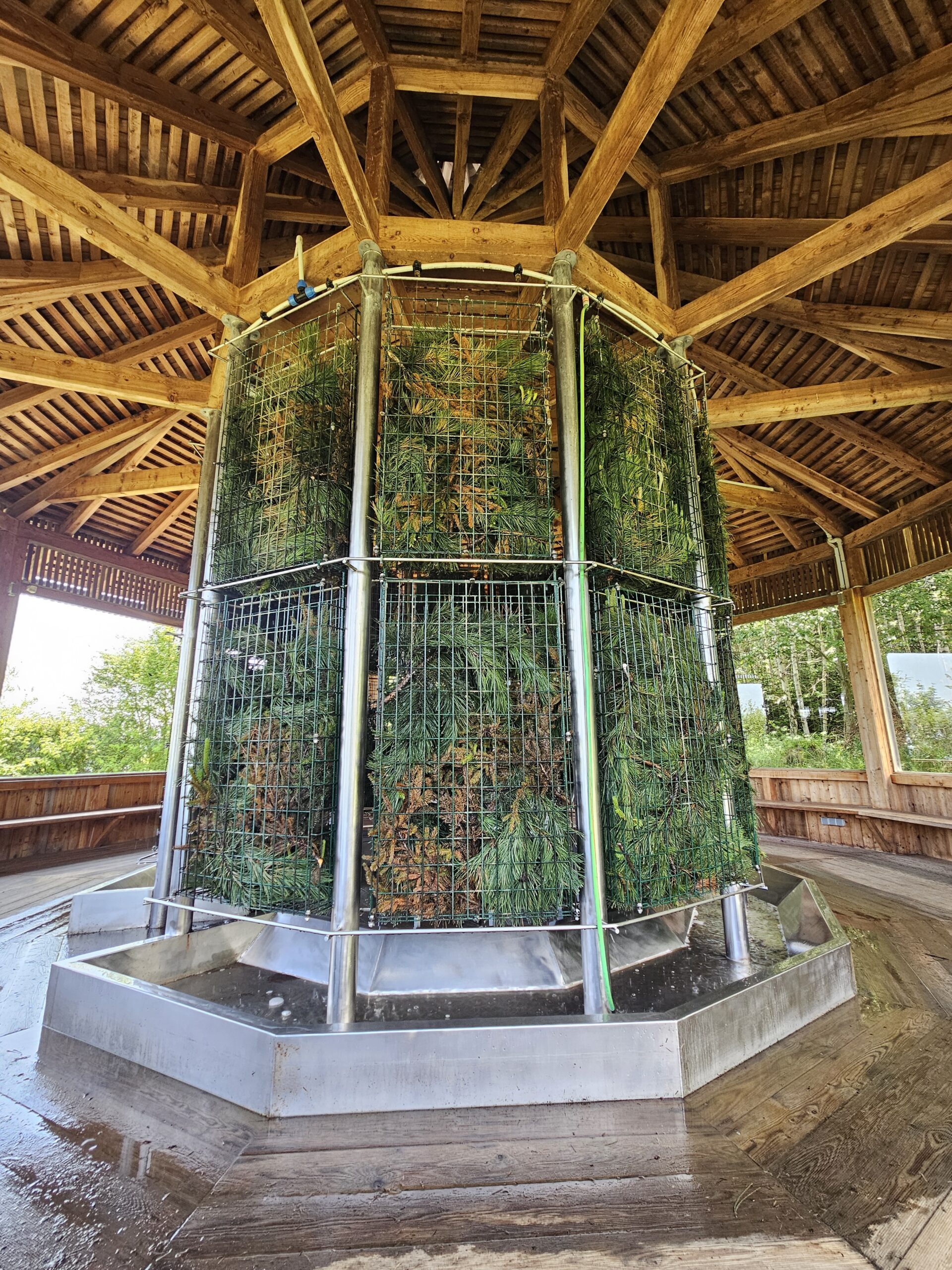 Mönichkirchen Kleinkind