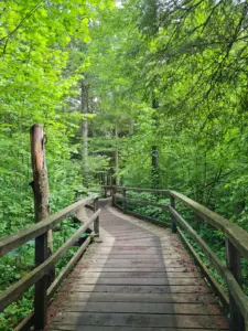 Wandern mit Kinderwagen