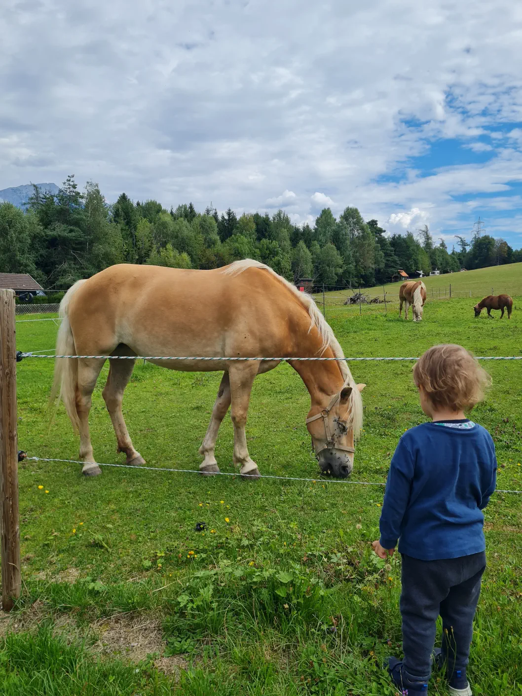 Wirtshaus Nattererboden