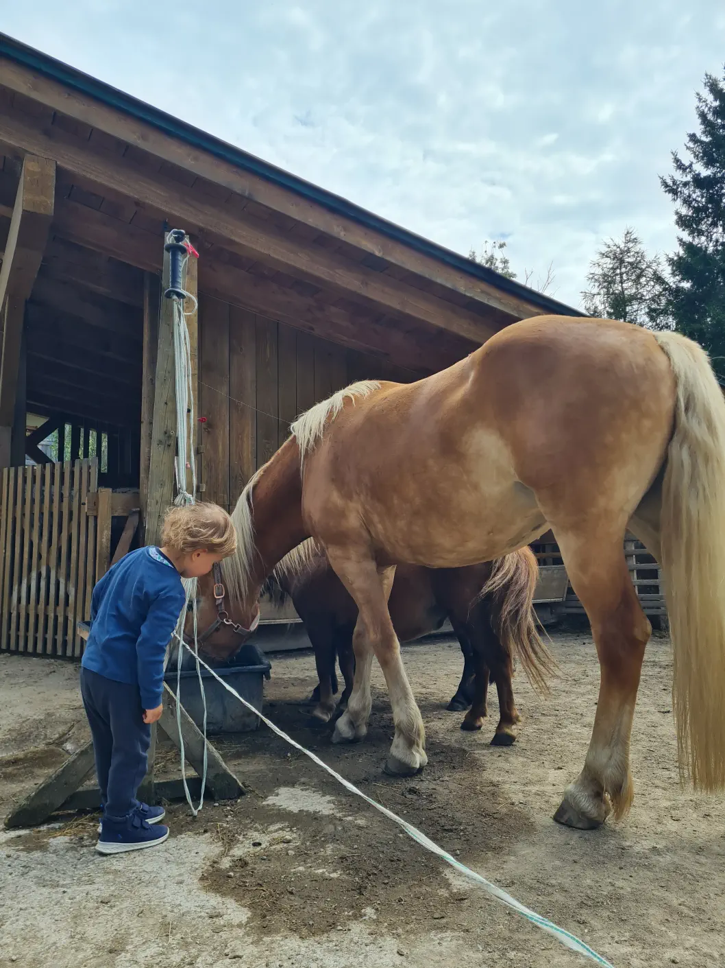 Wirtshaus Nattererboden